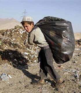 از صبح زود نبردی برای بقا