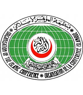 حامد کرزی: کشورهای اسلامی نگذارند از مساجد و مکاتب برای ترویج بنیاد گرایی استفاده شود