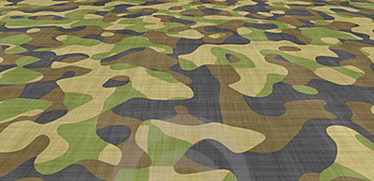 ویژگی های سازمان های نظامی