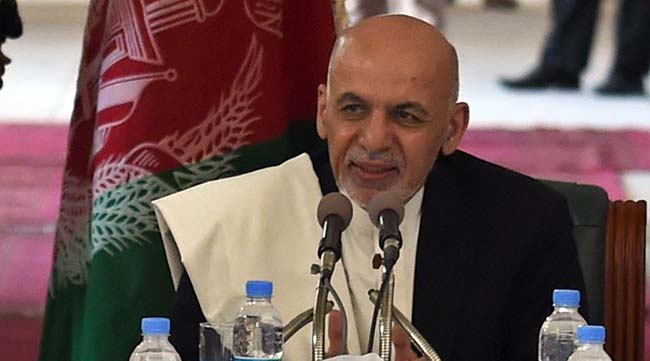 رييس جمهور مى تواند فرمان تقنينى اصلاح نظام انتخاباتى را اجرايى سازد