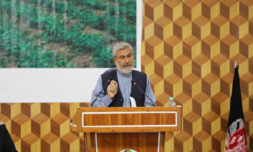 الویرا جایگزین کوکنار در افغانستان می‌شود 
