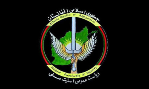 امنیت ملی از بازداشت عضو برجسته گروه طالبان در لوگر خبر داد 