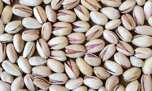 وزارت زراعت: بادغیس، 21 هزار تن پسته تولید کرده است 