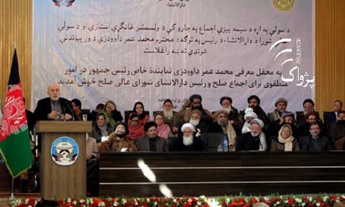 داودزى: به زودى کار روى طرح معاهدۀ صلح میان دولت و طالبان آغاز مى شود
