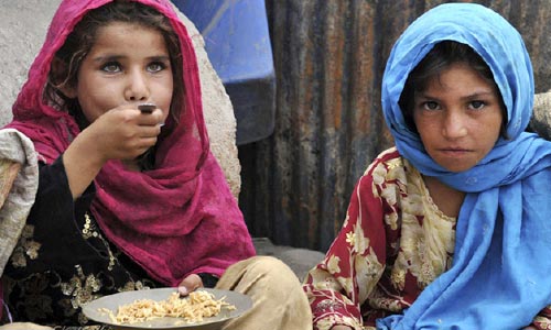 تقلای افغانستان برای مصؤنیت غذایی؛ آجندای ملی امنیت غذایی دسـتاورد ملموس نداشته است