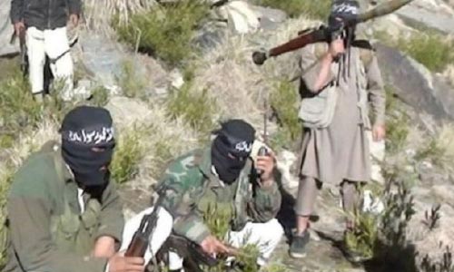 سه عضو خارجی داعش در کابل دستگیر شدند 