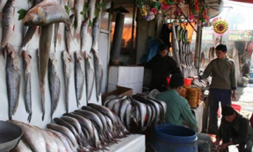 افغانستان سالانه ۱۰ هزار تن ماهی تولید می‌کند