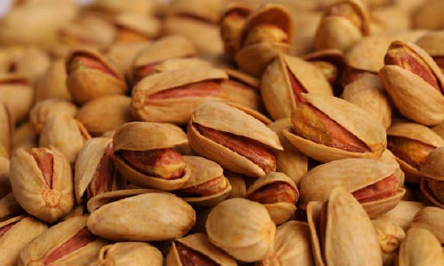حاصل پستۀ‌ بدخشان نسبت به سال قبل ۱۰۰ تن افزایش یافته است