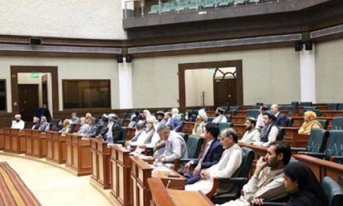 جامعه مدنی: دو سوم اعضای مجلس سنای غیرقانونی  به کارشان ادامه می‌دهند 