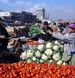 صدور بیش از 140 هزار تُن سبزی در 9 ماه نخست سال جاری 