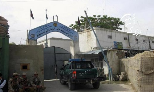 مسئولین: ١٥عضو طالبان در غزنى کشته شدند