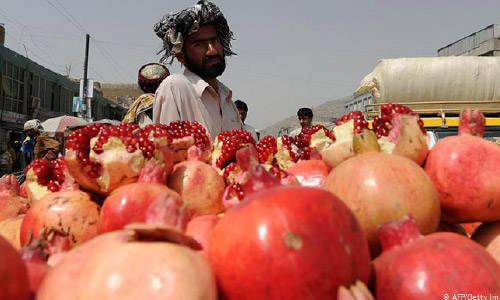 یاقوت‌های سرخ افغانستان، سرگردان پشت دروازه‌های بسته