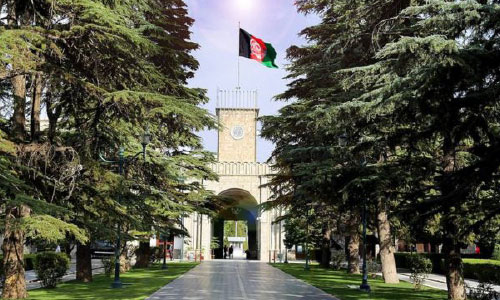مشاور مقام مشرانوجرگه به اتهام اکمال گروه‌های تروریستی در کابل دستگیر شد 