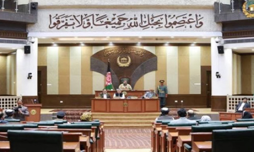 طرح قانون تابعیت و تشکیل وزارت صلح از سوی مجلس سنا تایید شد