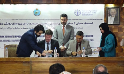 دانمارک سه میلیون دالر به دهقانان افغانستان کمک می‌کند