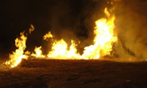 12 کارخانه پروسس مواد مخدردر غزنی از بین برده شد