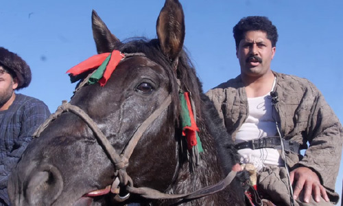 مسابقات بزکشی در هرات پس از شش سال توقف دوباره آغاز شد