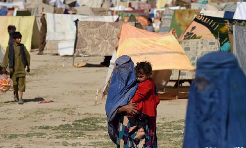۴۵۰ هزار دالر میان بیش از ۲۲۰۰ خانوادۀ بیجاشده در هرات توزیع می شود 