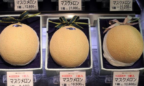 وزیر جاپانی به خاطر هدیه دادن خربوزه استعفا کرد