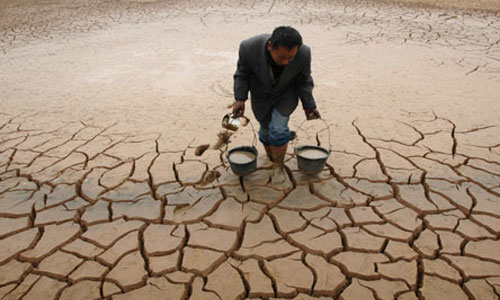وزارت زراعت:  مهار خشکسالی، از فاجعه بزرگ بشری جلوگیری کرد 