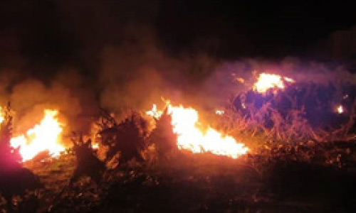 وزارت داخله:  53 هزار کیلوگرام مواد مخدر در ننگرهار آتش زده شد