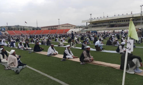  حدود 7 هزار تن برای ناظمی حجاج به رقابت پرداختند