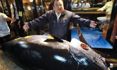 سلطان سوشی در جاپان با خرید ماهی تن سه میلیون دالری رکورد زد