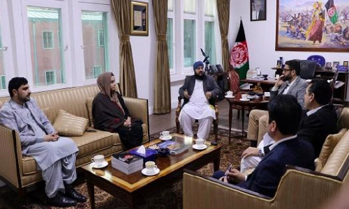 محب:  وکلا باید در تطبیق قانون همکارى کنند