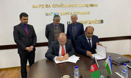 کارخانه‌های پنبه‌دانه و روغن نباتی دوباره فعال می‌شود