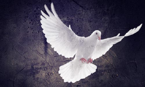 صلح مطلوب همه است، اما نگرانی‌ها کجا است؟