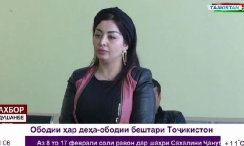 ستاره موسیقی پاپ تاجیکستان  برای تجلیل «نابجا» از زادروزش جریمه شد
