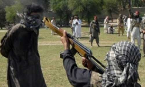  شستن جنایت طالبان در جویبار آلوده صلح