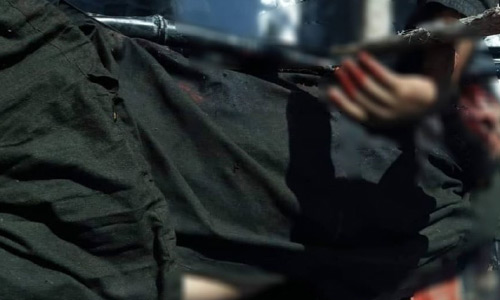 وزارت داخله: یک فرمانده کلیدی طالبان در پکتیا کشته شد