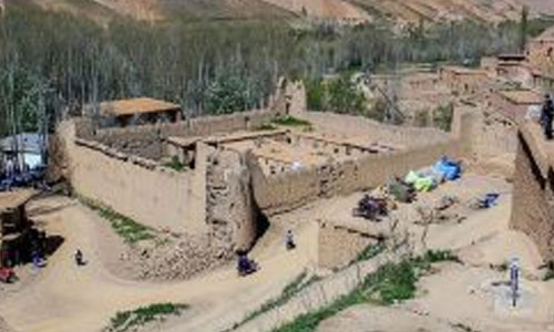 آمر جنایی ولسوالی کجران دایکندی کشته شد