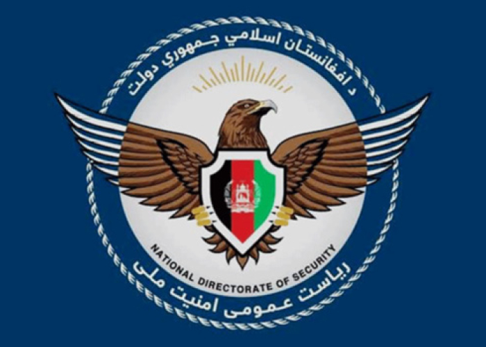 فردی به اتهام حمل مواد انفجاری  به هواپیمای مسافربری هرات - کابل دستگیر شد   