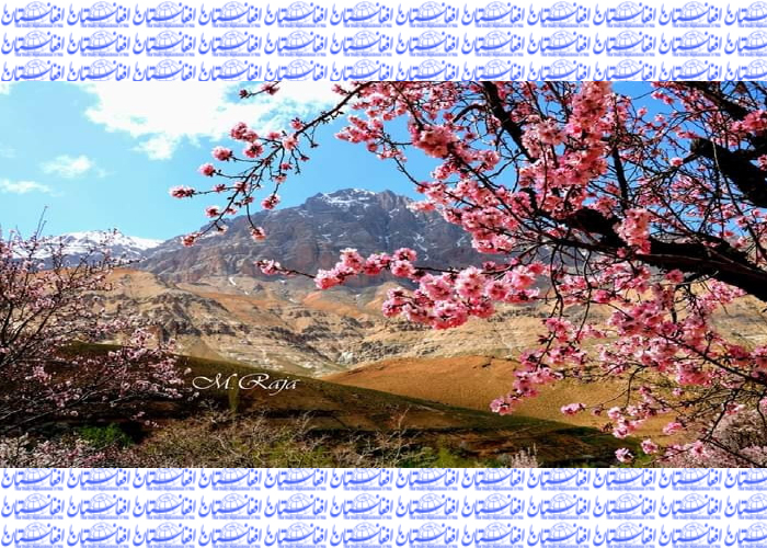 آرزوهایی بسان استواری و سربلندی کوه‌ها