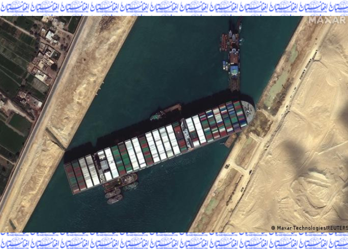 سرنوشت ناروشن ۱۳۰ هزار راس گوسفند در کانال سویس