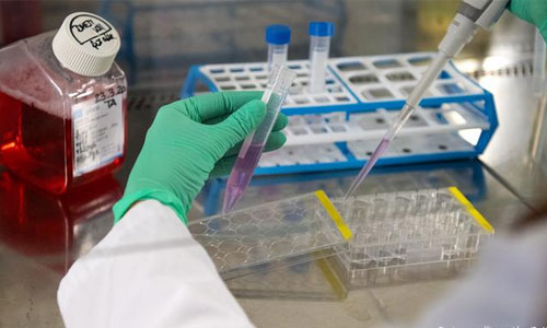 شمار افراد مبتلا به ویروس کرونا در کشور به ۹۹۳ نفر رسید 