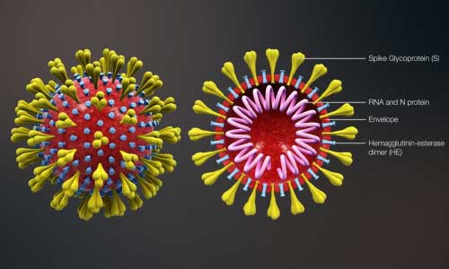 ویروس کووید-19 و زندگی در جهان مدرن