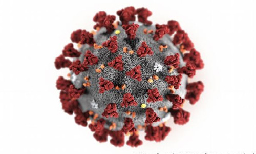 مناقشه آمریکا و چین بر سر منشا ویروس کرونا 