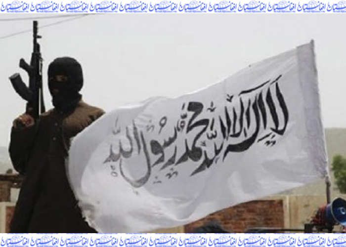 افراطیت و امارت کالای نامناسب بر پیکر ملت