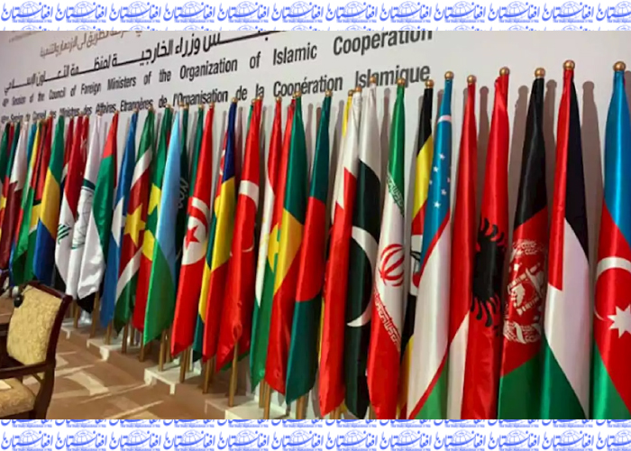 جمهوریت و تعامل سازنده با کشورهای اسلامی