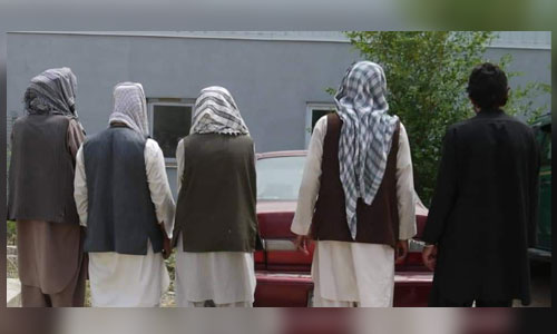 پنج متهم به غصب زمین در پروان بازداشت شدند