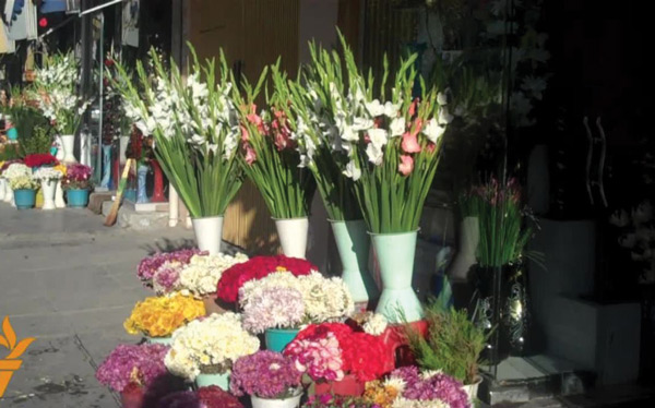 ویروس کرونا در افغانستان؛ از لغو سفرهای تفریحی تا کسادی بازار گل ‌فروشی در سال نو