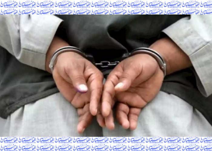 مسئول جلب و جذب داعش در ننگرهار بازداشت شد 