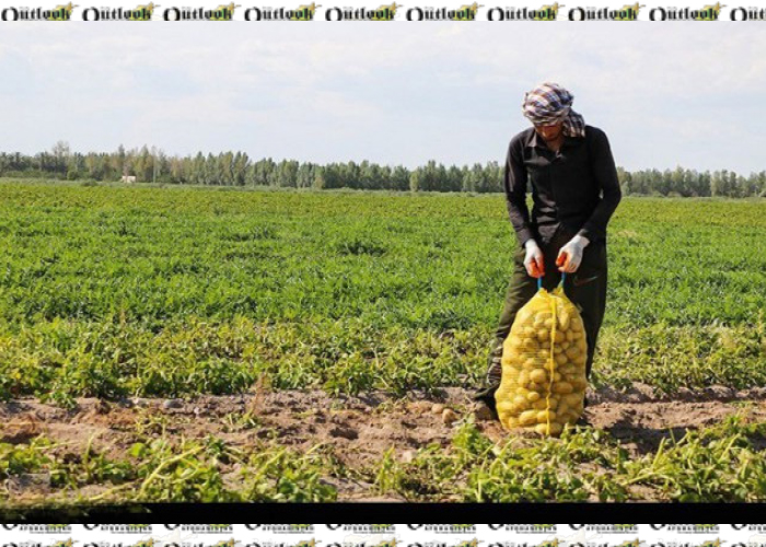 کمک بیش ازیک ونیم میلیارد افغانی امریکا برای وامدهی به کشاورزان