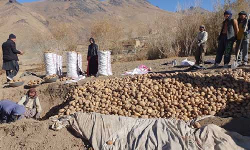 ساخت ذخیرهخانه؛ پایان ارزان فروشی محصولهای کشاورزان