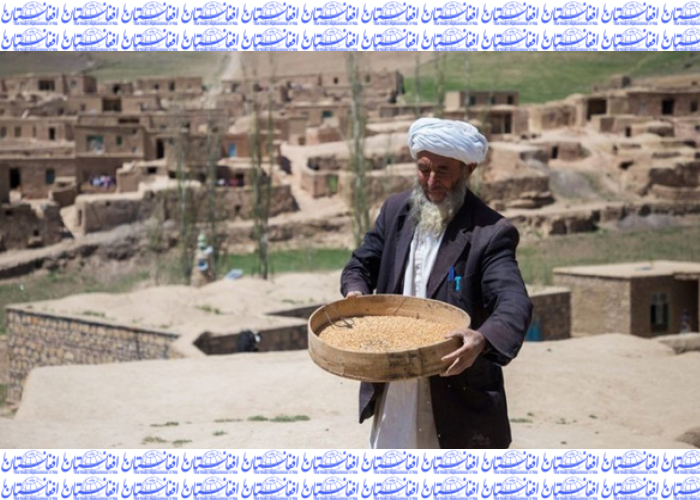 صلیب سرخ و هلال احمر: یک سوم جمعیت افغانستان به کمبود مواد غذایی روبرویند