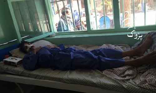 در پنج ماه گذشته ٨٥ واقعۀ تب کنگو در کشور ثبت شده است