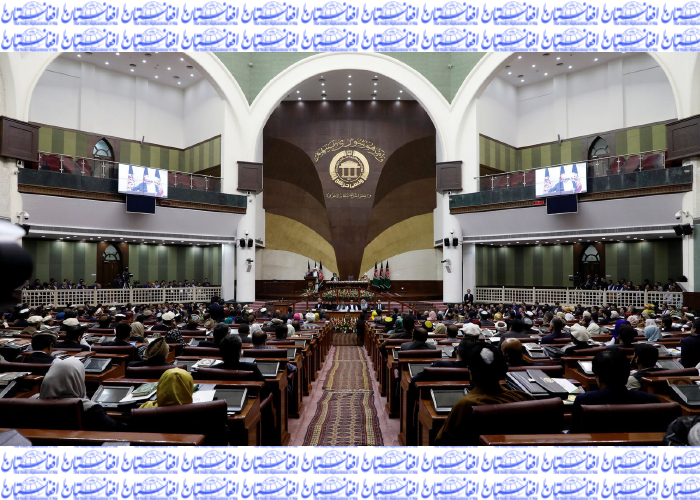 حمایت رئیس مجلس از حکومت موقت،   انتقاد شدید نمایندگان را برانگیخت